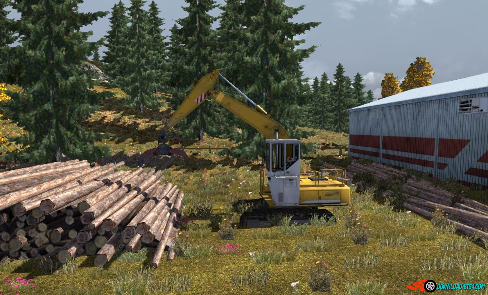 AMBIENT NOISE V2.6 FoR DLC 1.18 SKANDINAVIEN TSM V6