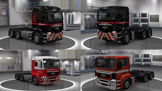 MAN TGS v1.0 SkinPack