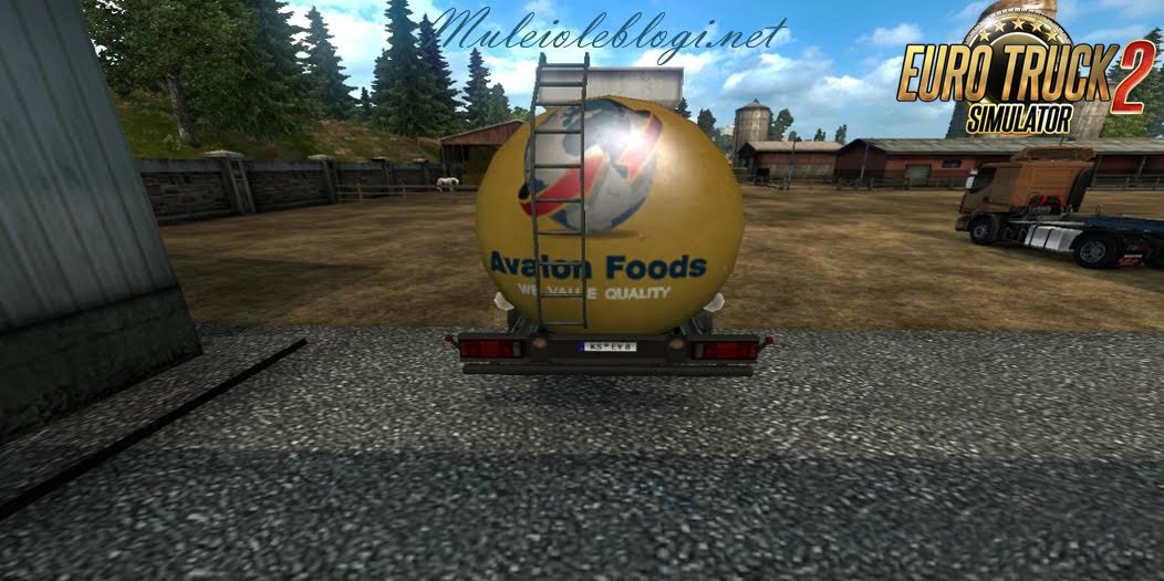 Avalon Foods Trailer and company logo