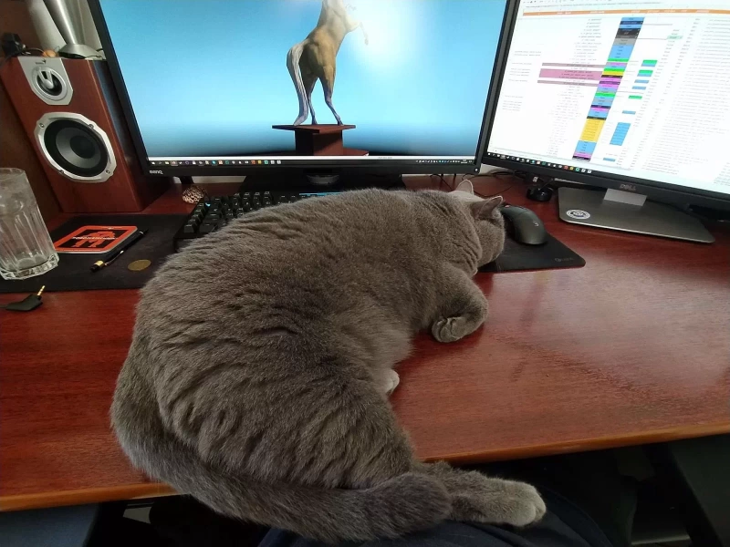 SCS Software Home Office