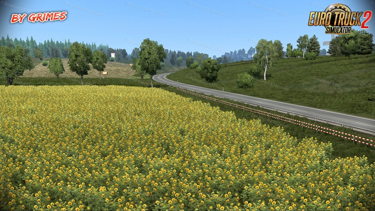New Summer Environment v5.3 by Grimes (1.48.x) for ETS2