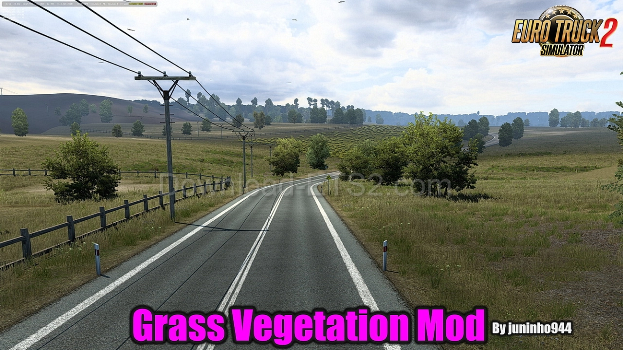 Grass Vegetation Mod v2.69 by juninho944 (1.47.x) for ETS2