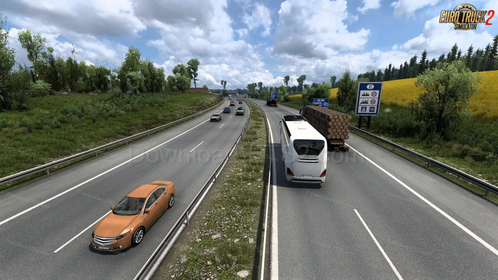 Real Life Traffic Density v1.1 (1.57.x) for ETS2